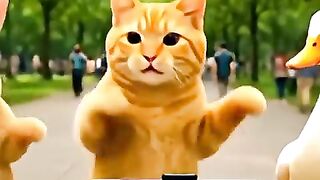 Tari Seru Kucing, Bebek, dan Kelinci Pesta di Taman!