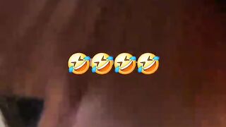 Funny Talking Pets Compilation