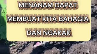 aktivitas menanam kuncing dapat membuat bahagia