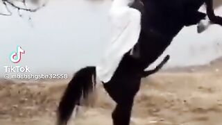 Excited Horse Have Beauty on His Back