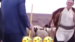 کجا چی
