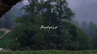 شب در سکوت