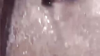 تولید در ارامش