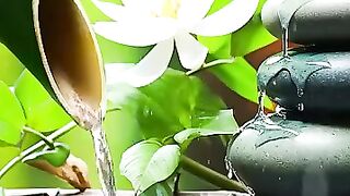 Relaxing Piano Music, Gentle, Reducing Stress, Fatigue relax relaxingmusic peacefulrelaxing
