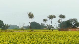 Village morning cool of the day winter