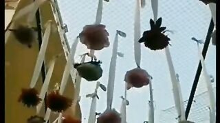 Valima event at Shahi mahal