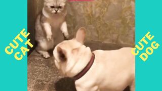 My dog is my best friend| Funny   dog and  puppy