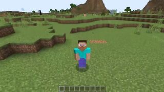 ???? Minecraft wait what meme