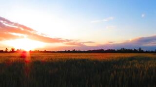 Meditation video with nature ll Meditation Music ll Relaxed Music ll