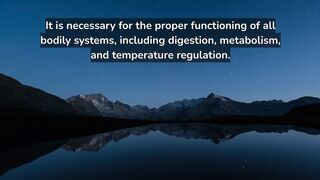 What does water do in human body