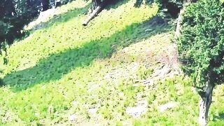 My village