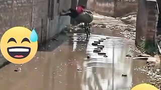Pakistani driver