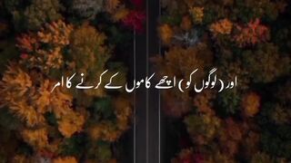 Real video