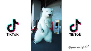 The Best TikTok Dance Compilation 2020.