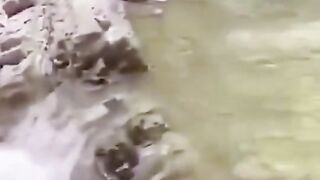 #funny #foryou #funny_video007 #memes #viral_video #viral #like #follow #comedy #prank?