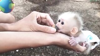Vídeo do zequinha quando bebê
