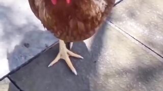 Funny