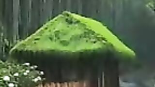Relaxing Music for Stress Relief 165  RelaxingMusic RainyDay