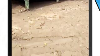 Pernyataan Presiden Prabowo yg menyebut ada Negara tetangga