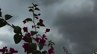 Online earning app 2026