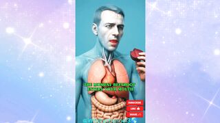 WHAT HAPPENS WHILE YOU EATING BEETROOT IN HUMAN BODY