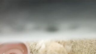 Age of chicken