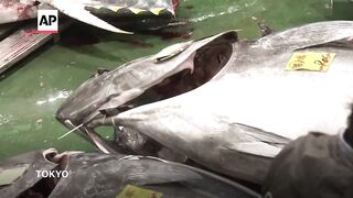 Bluefin tuna sells for record 3.2 million at first auction in Tokyo.