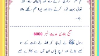 Shariat Ke Masail Seekhain