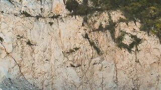 Daario Fights For Daenerys