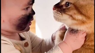 Sweet Cat Having Fun on the Beach  6. Cute Cat and Beautiful Beach  7. Relaxing Beach Time with a Cute