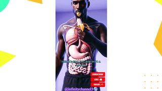 WHAT HAPPENS WHILE YOU EATING BANANA  IN HUMAN BODY