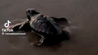 confía en tu sueños