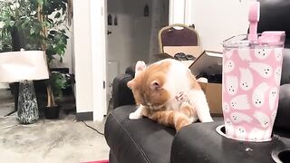 Lets just unzoom