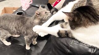 Jaden not getting love from TK