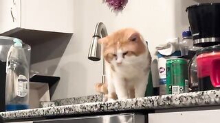 Just when I thought he was being good