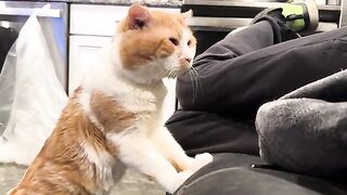 To cuddles