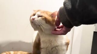 The itchy spot