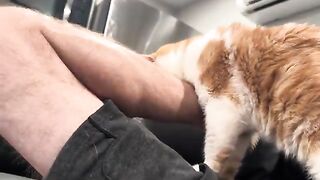 The leg scene
