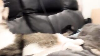 Waking up