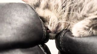 Squished mouf