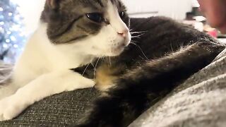 Disapproval