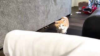 Distracted