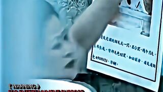 Find the lost animal