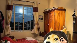 Funyy Video Bangla 2026