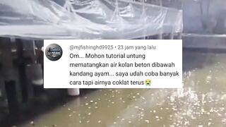 Mau WARNA air kolam HIJAU merah HITAM atau COKELAT gak masalah