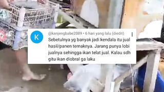 Bingung JUAL Ikan lele KEMANA tonton video ini DIJAMIN Faham
