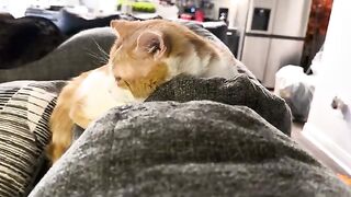 He wakes up