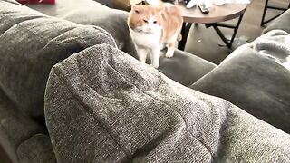 He shows