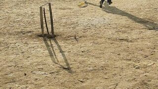 cricket sports