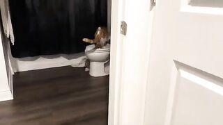 Adam meows